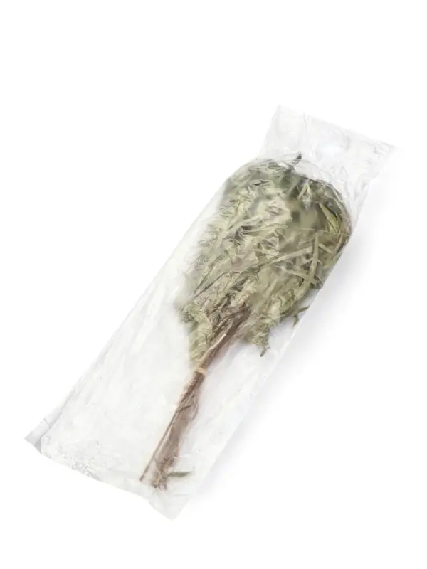 Веник для бани, эвкалиптовый, в пакете, &laquo;Добропаровъ&raquo;