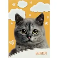 Набор блокнотов 4 шт А6 24л кл на скобе Домашние животные, мел карт, бл офс, 4В