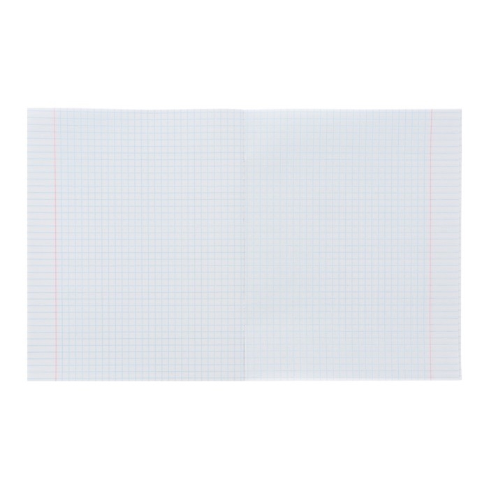 Комплект тетрадей из 5 штук (4 разные + 1 повторяющаяся), 48 листов в клетку Calligrata Комплект тетрадей из 5 штук (4 разные + 1 повторяющаяся), 48 листов в клетку Calligrata "Street racing", обложка мелованный картон, УФ-лак, блок офсет