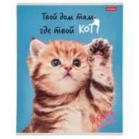 Тетрадь 40л А5ф кл 60-65г/кв.м на скобе Обл. мел.картон  серия -Кот говорит!- МИКС