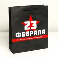 Пакет подарочный ламинированный, упаковка, &laquo;С 23 февраля&raquo;, M 26&times;30&times;9 см