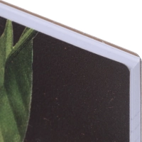 Бизнес-тетрадь, BS, А5, 80л., клетка, спираль. Flora, инжир N4184