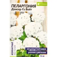 Семена цветов Пеларгония &laquo;Дансер Вайт&raquo;, зональная, 3 шт., &laquo;Семена Алтая&raquo;
