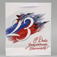 Пакет подарочный ламинированный &laquo;День 23 февраля&raquo;, 25.5&times;30&times;9 см