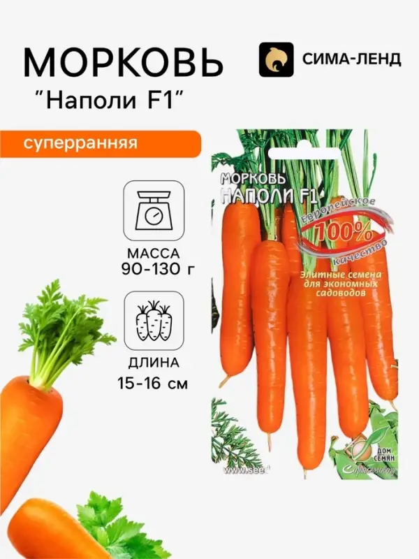 Семена Морковь &laquo;Наполи&raquo; F1, 100 шт., &laquo;Дом семян&raquo;
