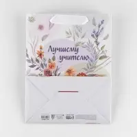 Пакет подарочный ламинированный, упаковка, «Поздравляю», MS 18 х 23 х 10 см