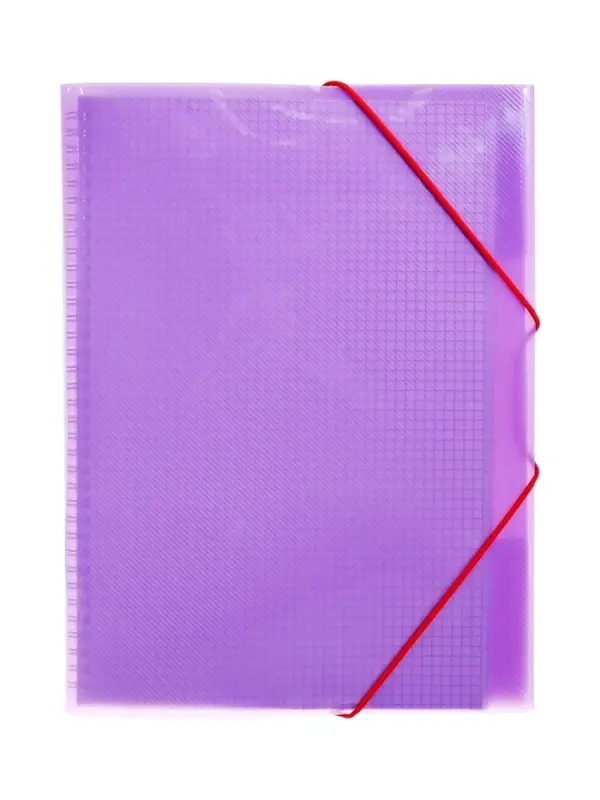 Тетрадь-папка А4, 80 листов в клетку Hatber FolderBook, пластиковая обложка, на закрытом гребне, с клапаном на резинке, фиолетовая