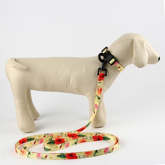 Набор &laquo;Цветы&raquo;, застёжка - фастекс, поводок 2 м и ошейник 28-46 см