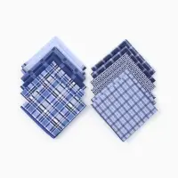 Платки носовые мужские Этель 30*30 см,(набор 12 шт,) цв. синий, рис. МИКС, 100% хл