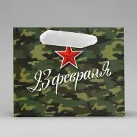 Пакет подарочный ламинированный, упаковка, «С 23 февраля», S 15 х 12 х 5.5 см