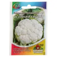 Семена Капуста цветная &laquo;Осенний гигант&raquo;, 0.1 г, &laquo;Удачные семена&raquo;