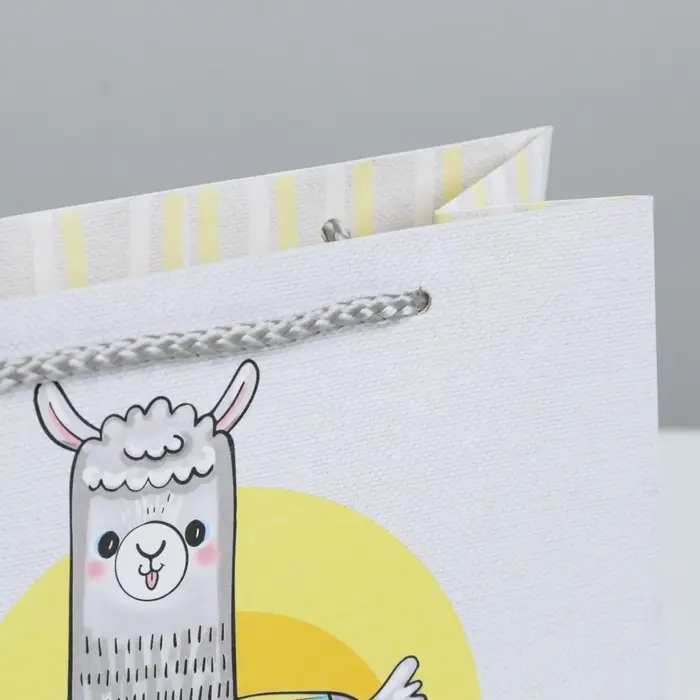 Пакет подарочный, упаковка, «Веселье», 19.5 х 14.5 х 8.5 см