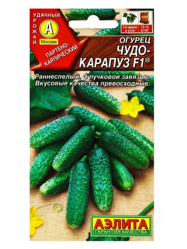 Семена Огурец Семена Огурец "Чудо карапуз F1", 10 шт.