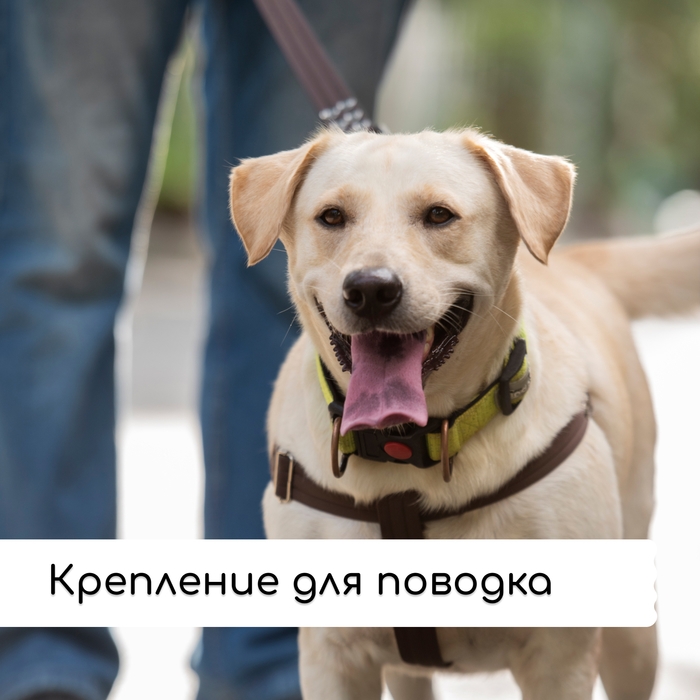 Крючок с креплением для шнура, d = 10 мм, набор 10 шт. Крючок с креплением для шнура, d = 10 мм, набор 10 шт.