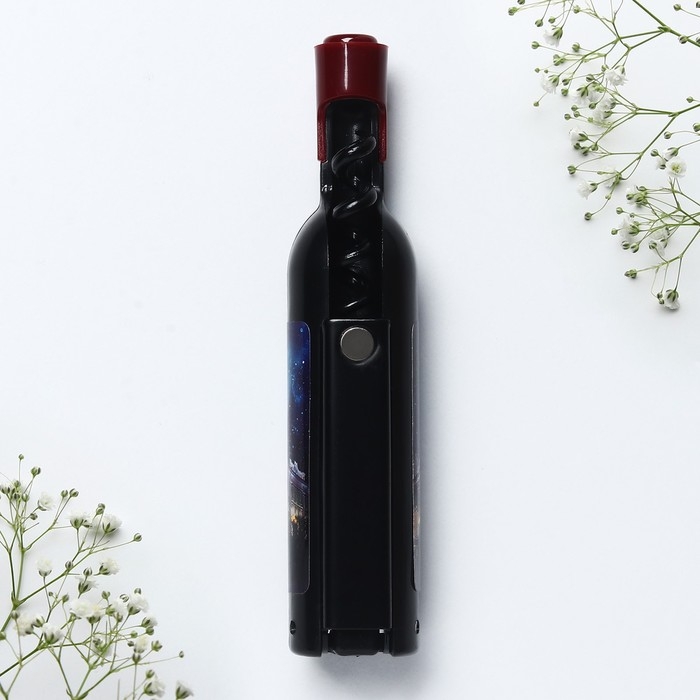 Магнит-открывашка «Екатеринбург», 2,5 х 11,8 см Магнит-открывашка «Екатеринбург», 2,5 х 11,8 см