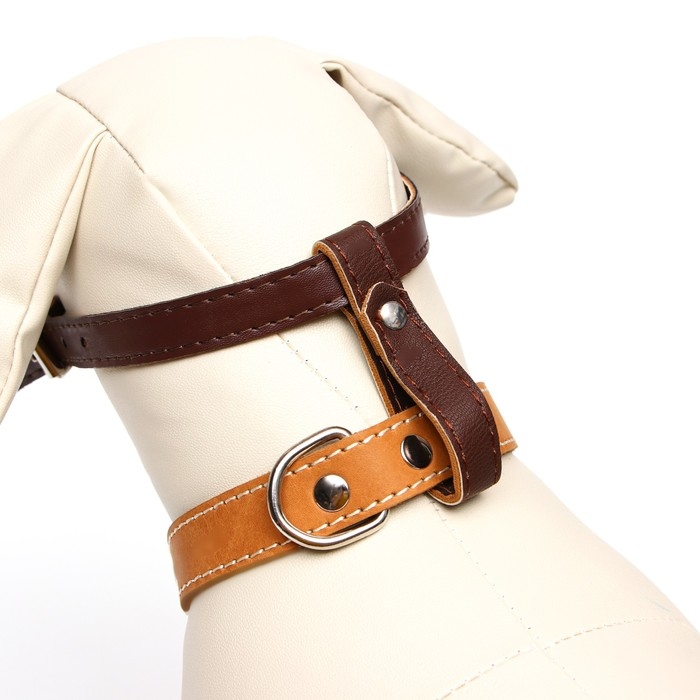 Намордник из прессованной кожи регулируемый, №1, ДН 4,5 см, ОМ 13-20 см, коричневый Намордник из прессованной кожи регулируемый, №1, ДН 4,5 см, ОМ 13-20 см, коричневый