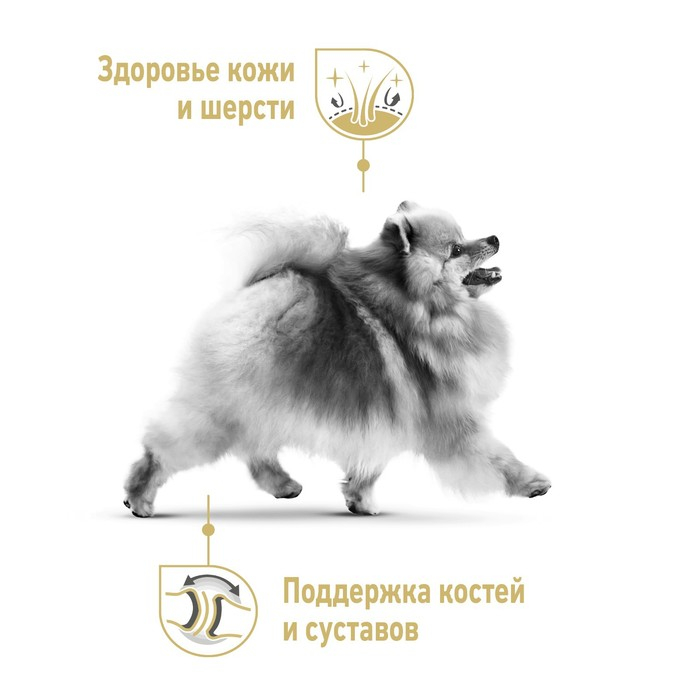 Сухой корм RC Pomeranian для померанского шпица, 1,5 кг Сухой корм RC Pomeranian для померанского шпица, 1,5 кг