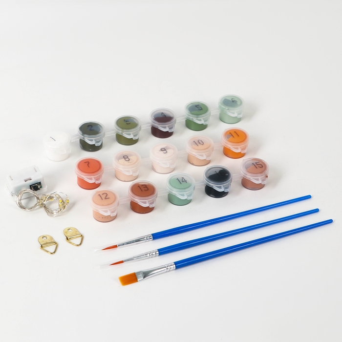 Картина по номерам с подрамником и гирляндой «Пионы», 20 х 30 см Картина по номерам с подрамником и гирляндой «Пионы», 20 х 30 см