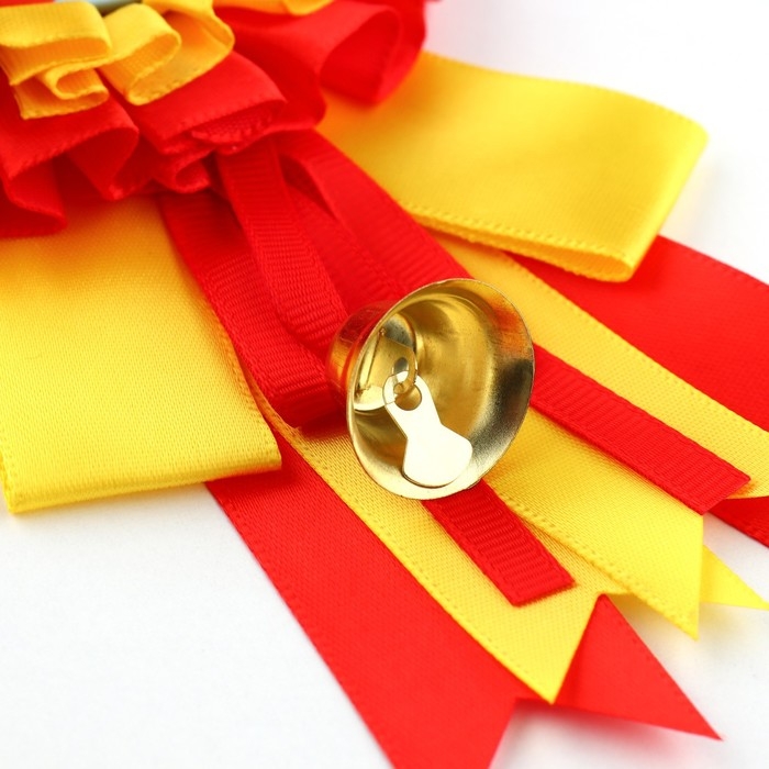 Значок - орден на Выпускной «Выпускник детского сада», d = 9 см Значок - орден на Выпускной «Выпускник детского сада», d = 9 см