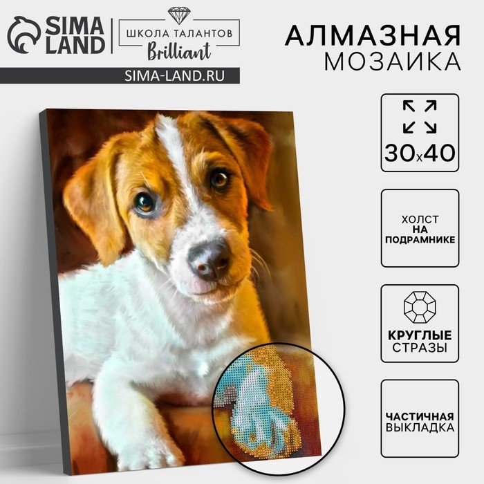 Алмазная мозаика с частичным заполнением на подрамнике «Пёс», 30 х 40 см Алмазная мозаика с частичным заполнением на подрамнике «Пёс», 30 х 40 см