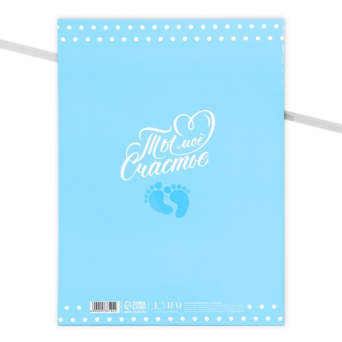 Папка для свидетельства о рождении «Мои первые документы», А4. Папка для свидетельства о рождении «Мои первые документы», А4.