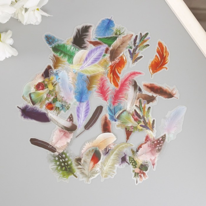 Наклейки для творчества пластик PVC Наклейки для творчества пластик PVC "Яркие перья" набор 60 шт 10х14 см