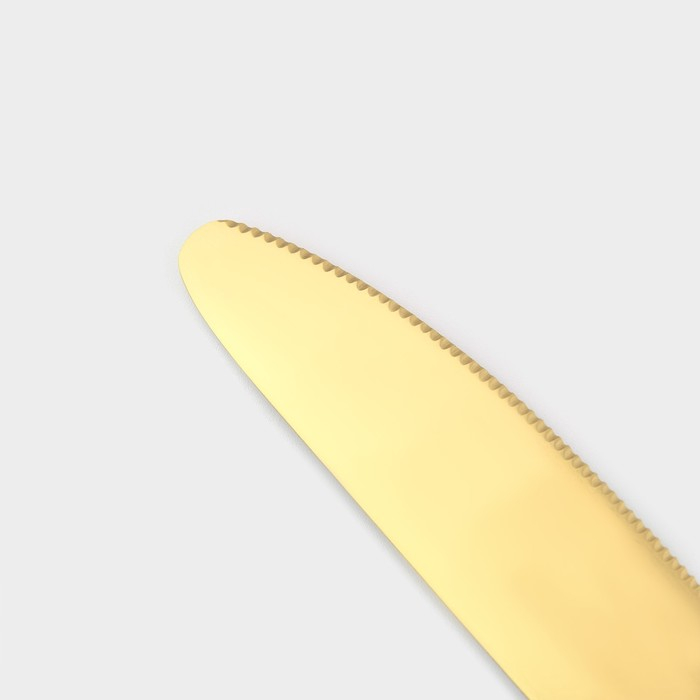 Столовые приборы из нержавеющей стали Magistro «Оску стандарт», 12 предметов, цвет золотой Столовые приборы из нержавеющей стали Magistro «Оску стандарт», 12 предметов, цвет золотой