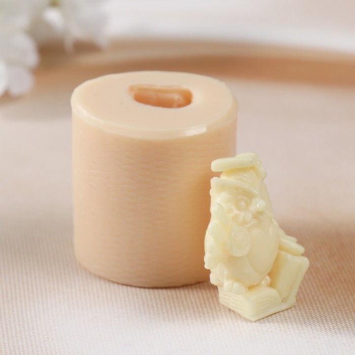 Молд силиконовый Молд силиконовый "Ученая сова №4" 4х4,2х4,2 см