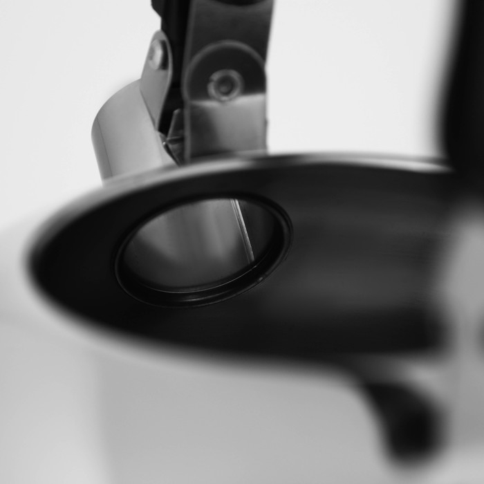 Чайник со свистком из нержавеющей стали Доляна «Чёрная ночь», 2 л, индукция, цвет хромированный