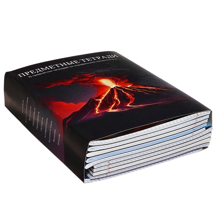 Комплект предметных тетрадей Calligrata TOP Комплект предметных тетрадей Calligrata TOP "Школьный стиль", 48 листов, 10 предметов, со справочным материалом, пластиковая обложка, блок офсет