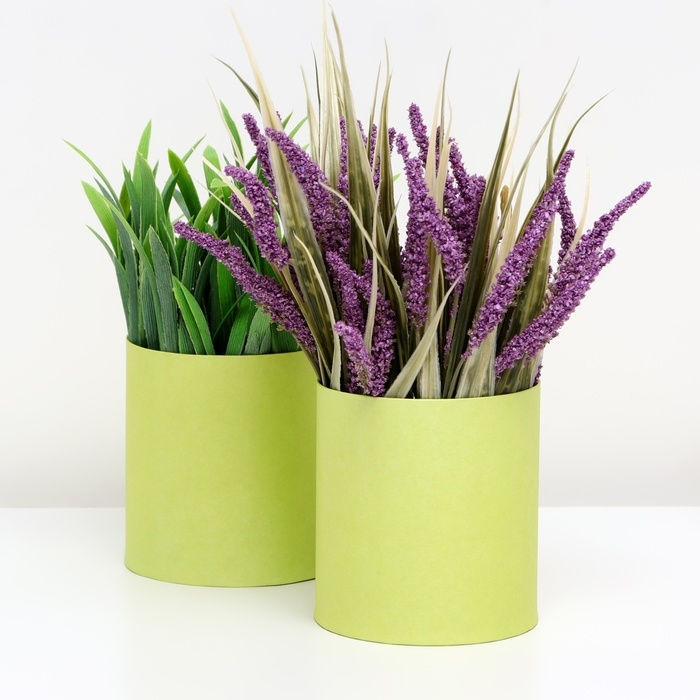 Набор круглых коробок 2в1 , Набор круглых коробок 2в1 ,"Салатовый", без крышки, 10 х 10 х 10,5 см