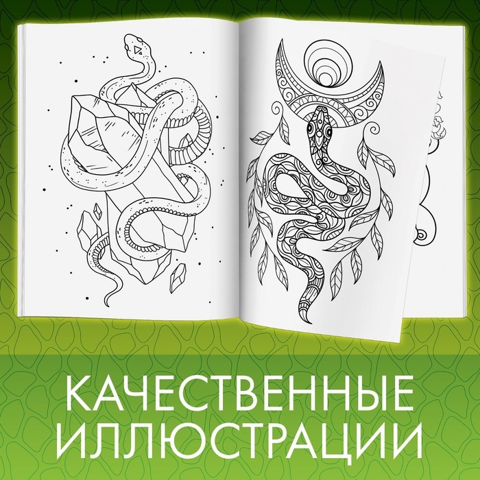 Раскраска «Прекрасные и опасные змеи», 20 × 28, 32 раскраски, формат А4 Раскраска «Прекрасные и опасные змеи», 20 × 28, 32 раскраски, формат А4