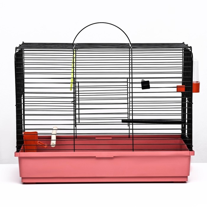 Клетка Клетка "Грация", 2 яруса, 50 х 37 х 37 см, микс цветов