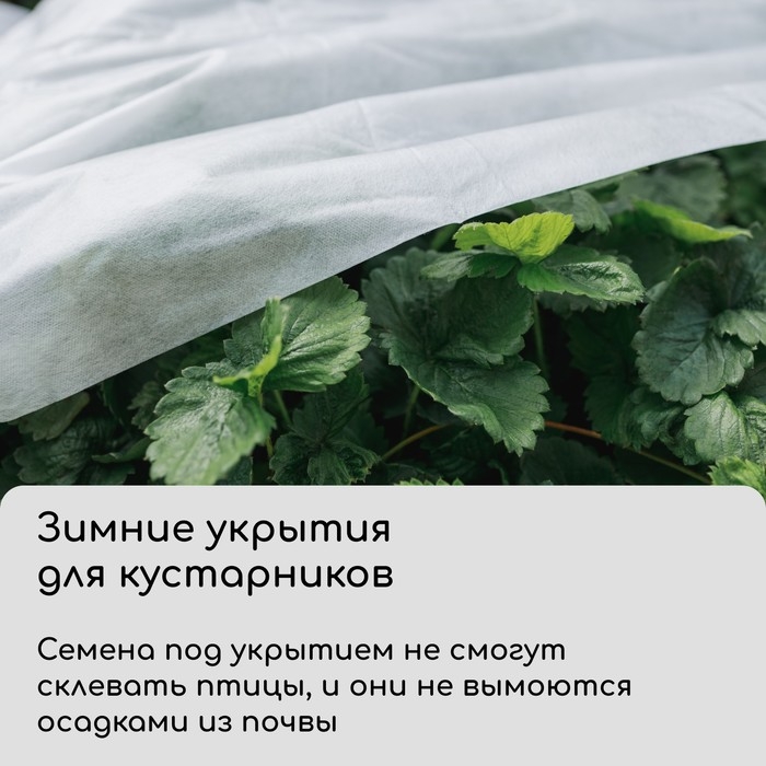 Материал укрывной, 5 × 3,2 м, плотность 42 г/м², спанбонд с УФ-стабилизатором, белый, Greengo, Эконом 30% Материал укрывной, 5 × 3,2 м, плотность 42 г/м², спанбонд с УФ-стабилизатором, белый, Greengo, Эконом 30%
