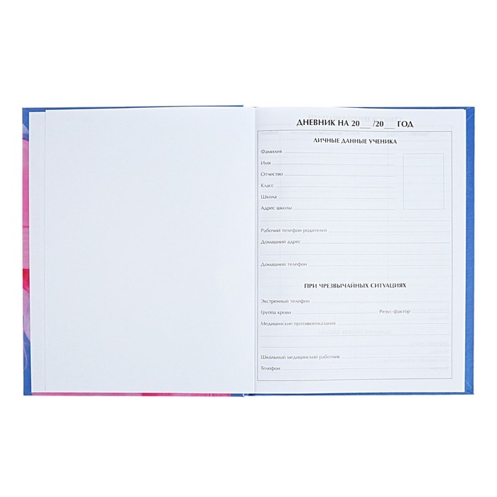 Дневник для 5-11 классов "Сияй!", твёрдая обложка, глянцевая ламинация, 48 листов