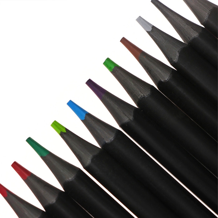 Карандаши 24 цвета BlackWoodColor, пластиковые, трёхгранные, МИКС Карандаши 24 цвета BlackWoodColor, пластиковые, трёхгранные, МИКС