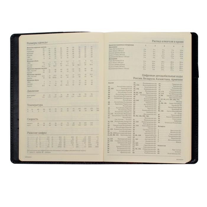 Ежедневник полудатированный А5, 208 листов Profy, рециклированная кожа, сменный блок, золотой срез, чёрный Ежедневник полудатированный А5, 208 листов Profy, рециклированная кожа, сменный блок, золотой срез, чёрный