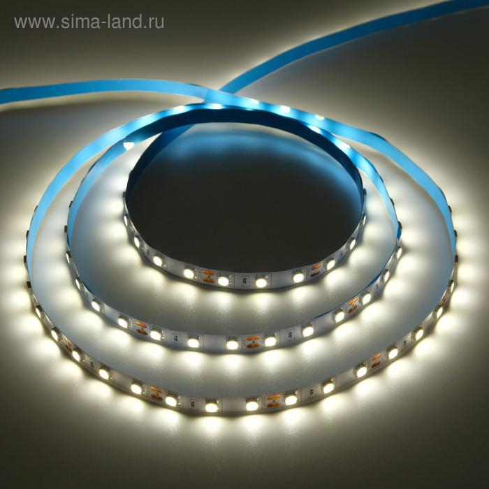 Светодиодная лента Ecola PRO 5 м, IP20, SMD5050, 60 LED/м, 14.4 Вт/м, 12 В, 4200К Светодиодная лента Ecola PRO 5 м, IP20, SMD5050, 60 LED/м, 14.4 Вт/м, 12 В, 4200К