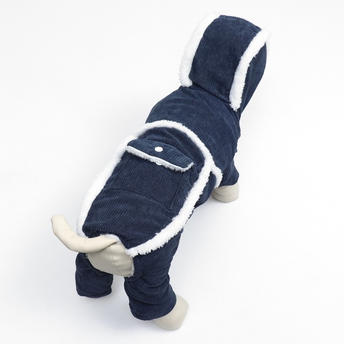 Комбинезон Комбинезон "Малыш", размер XS (ДС 20 см, ОГ 30 см, ОШ 20 см), синий