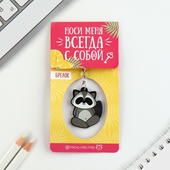 Брелок для ключей акриловый «Енот», 7.2 х 14 см