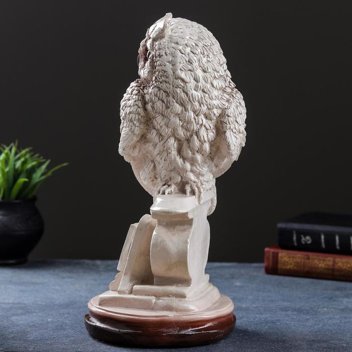 Фигура  Фигура "Сова с книгой на подставке" 18х21х34см состаренная
