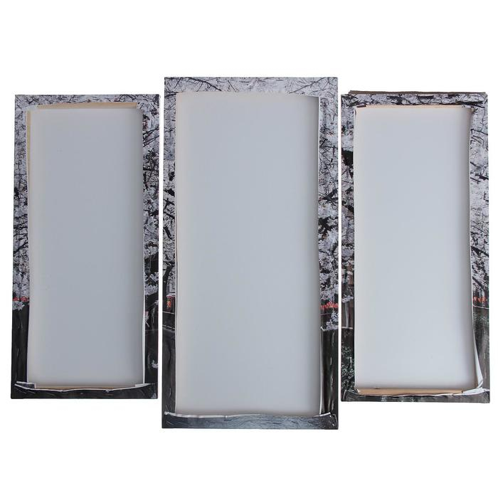 Модульная картина  Модульная картина "Цветущие деревья"  (2-25х52; 1-30х60) 60х80 см