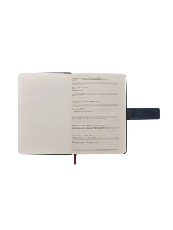 Ежедневник недатированный формат А5, с хлястиком, 128л, линия, пвх, Синий Ежедневник недатированный формат А5, с хлястиком, 128л, линия, пвх, Синий