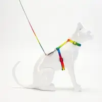 Комплект для кошек &laquo;Радуга&raquo;, ОШ 16.5-27, ОГ 21-35 см, ширина 1 см, поводок 120 см