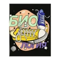 Набор предметных тетрадей Calligrata TOP &laquo;Кеды&raquo;, 12 предметов, 48 листов, со справочным материалом, картонная обложка