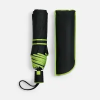 Зонт складной Edgeline, зеленое яблоко