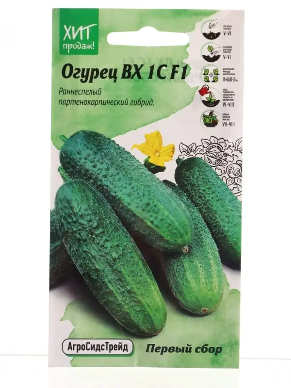 Семена Огурец ВХ 1С цв/п ( ПЕРВЫЙ СБОР) 0,25г