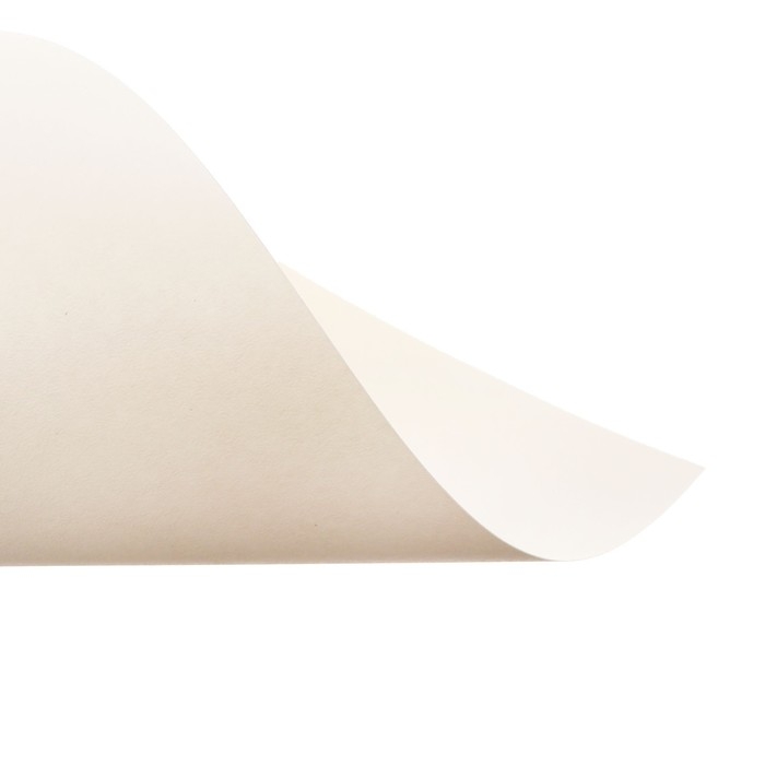 Бумага для пастели А3, 10 листов,  Бумага для пастели А3, 10 листов, "Пейзаж", бумага слоновая кость, ГОЗНАК, тиснение "скорлупа", блок 200 г/м2, в папке