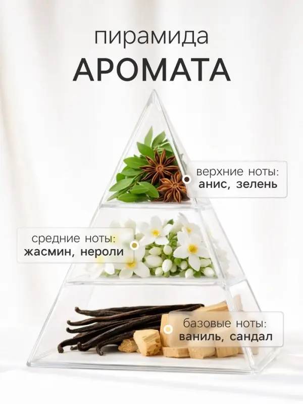 Диффузор ароматический с палочками Holi Pleasure, 50 мл