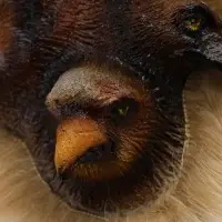 Панно &laquo;Хищники&raquo;, 15&times;15&times;6 см